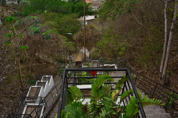 Vue Descente Des Escaliers Dans Parc Verdoyant Puerto Vallarta — Photo