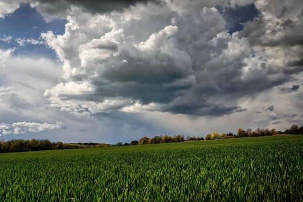 Una Vista Grandes Nubes Oscuras Reunidas Una Tormenta Eléctrica Sobre — Foto de Stock