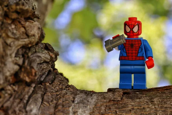 Closeup Shot Spider Man Toy Figure Standing Tree Holding Binoculars — Stock Photo, Image