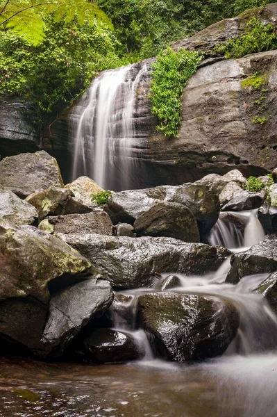 Disparo Vertical Una Hermosa Cascada Bosque Durante Día —  Fotos de Stock