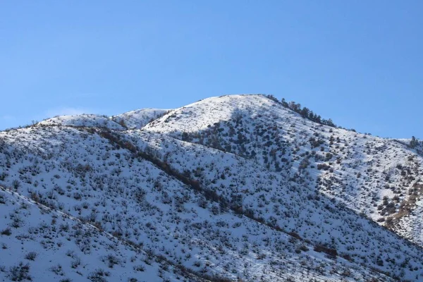 Den Snöiga Sluttningen Mot Bakgrunden Blå Himmel Big Pines Kalifornien — Stockfoto