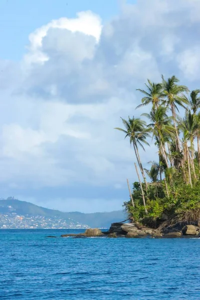 Vertikální Snímek Tropické Pláže Palmami Ostrově Filipínách — Stock fotografie