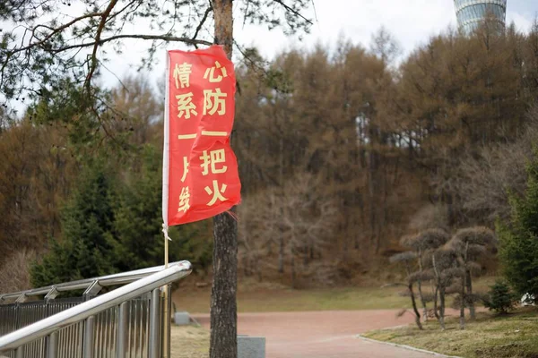 中国を背景に木々のある象形文字の赤い旗の選択的焦点 — ストック写真