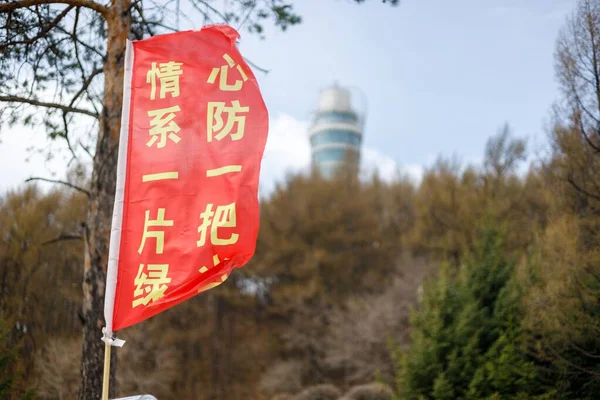 중국의 배경에 나무가 문자가 깃발의 선택적 — 스톡 사진