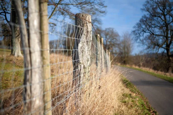 Bild Staketet Nära Vägen Landsbygden — Stockfoto