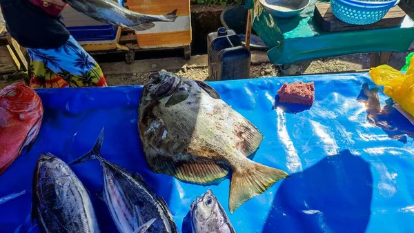 Closeup Different Fish Fish Market — Stock Photo, Image