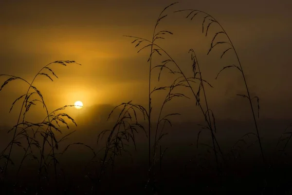 Uma Vista Fascinante Pôr Sol Dourado Sobre Montanhas — Fotografia de Stock