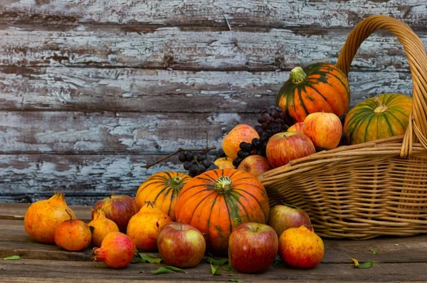 Korb Voll Mit Kürbissen Äpfeln Und Verschiedenen Herbstfrüchten Und Blumen — Stockfoto