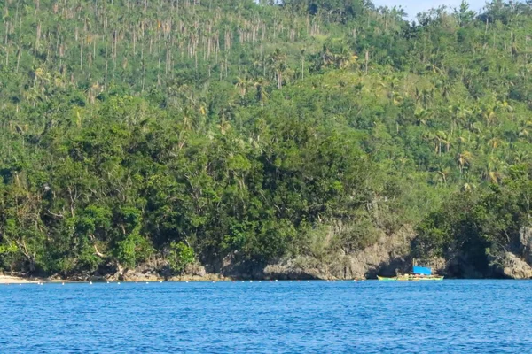 Penhascos Com Árvores Praia Nas Filipinas — Fotografia de Stock