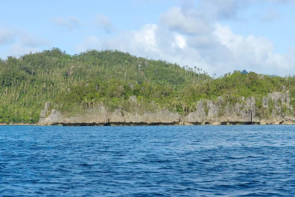 Kliffen Met Bomen Het Strand Filippijnen — Stockfoto