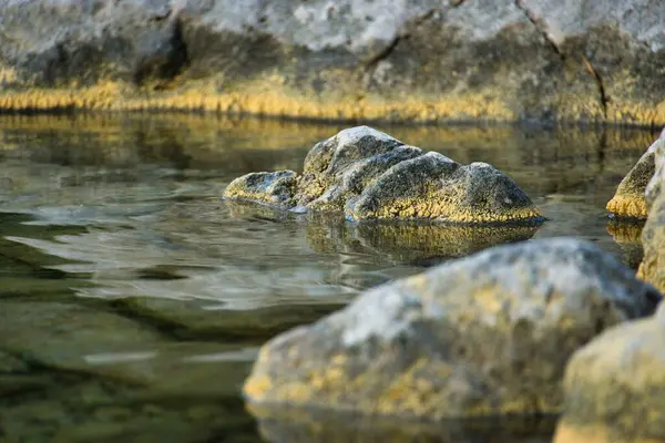 Gros Rocher Près Rivière Par Une Journée Ensoleillée — Photo