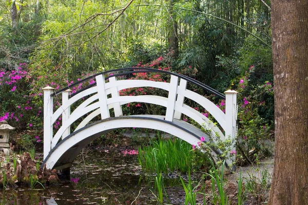 Pequeño Puente Curvo Lindo Jardín Con Flores Alrededor — Foto de Stock