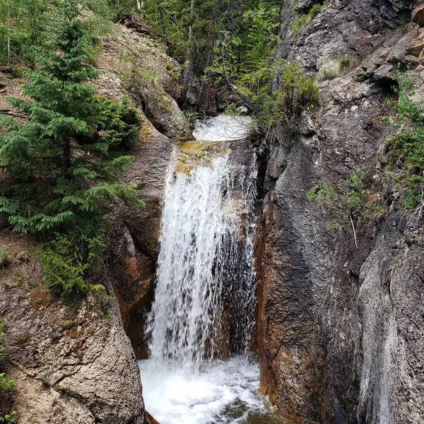 Vista Uma Cachoeira Correndo Pelas Rochas Floresta — Fotografia de Stock