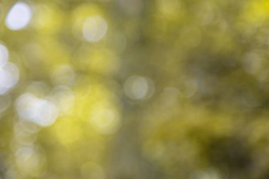 Lens fişekleri, bulanık bokeh ışıkları, web tasarımı, arka plan, kompozisyonlar ve örtüler için sarıdan beyaza bulanık bokeh ışıkları