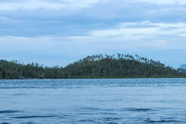 Filipinler 'de güzel mavi bir deniz manzarası
