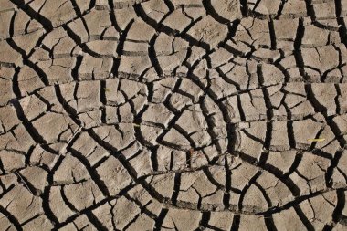 Kurumuş çamurdan yakın çekim.