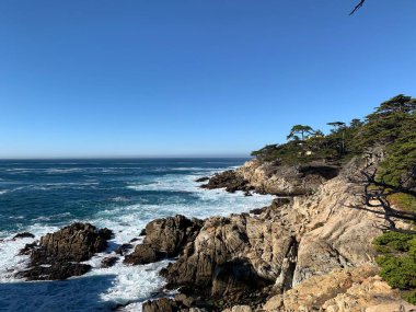 Yeşil ağaçlarla kaplı kayalık bir sahile çarpan okyanus dalgalarının manzarası.