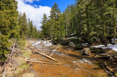 Paulina Creek, Oregon, ABD 'de çarpıcı bir manzara