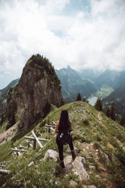 Alpstein dağlarının yamacında yüksek zirveleri olan genç bir dişinin dikey görüntüsü.