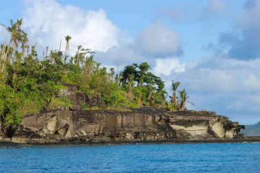 Güzel mavi bir deniz manzarası ve üzerinde palmiyeler ve diğer ağaçlar olan büyük bir uçurum.