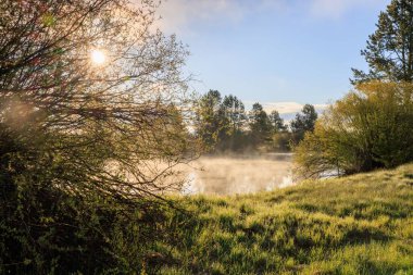 Sunriver, Oregon 'daki Deschutes Nehri' nin çarpıcı manzarası.