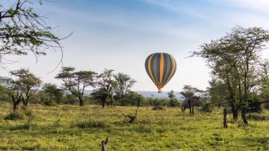 Gün doğumunda Tanzanya'daki Serengeti rezervinde savananın üzerinde hava balonu, Afrika panoraması