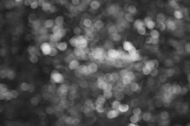 Lens fişekleri, bulanık bokeh ışıkları web tasarımı, arka plan, kompozisyonlar ve kaplamalar için siyah üzerine beyaz ve gri renkte bulanık bokeh ışıkları