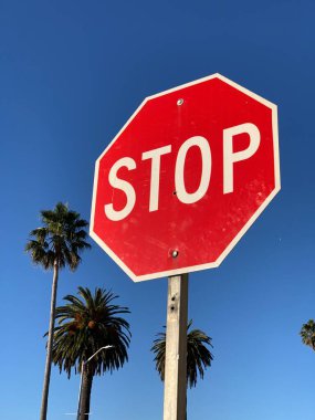 Palmiye ağaçlarına ve bulutsuz mavi gökyüzüne karşı kırmızı bir 