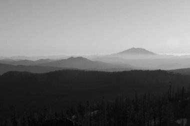 Resimli dağ manzarası. Sisli gökyüzünün altında yeşilliklerle kaplı dağ sırasının güzel manzarası. Gri Tonlama