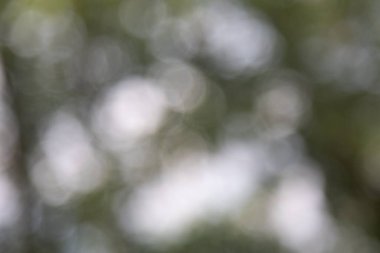 Lens fişekleri, bulanık bokeh ışıkları web tasarımı, arkaplan, kompozisyonlar ve örtüler için beyazda