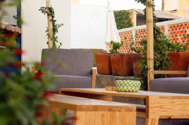 Bitkilerle, kanepelerle ve ahşap sehpalarla dolu rahat bir teras manzarası.