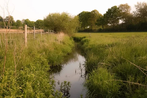 Yeşil bir çayırın ortasında dar, kirli bir nehir.