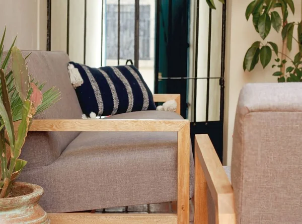 Der Blick Auf Ein Wohnzimmer Gemütlich Dekoriert Inneneinrichtung Sofa Pflanzen — Stockfoto