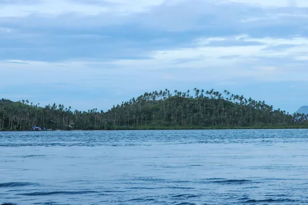 Вечором Філіппінах Відкривається Прекрасна Блакитна Морська Миша — стокове фото