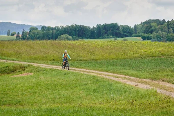 Een Fietser Rijdt Een Fietsweg Midden Een Groen Veld Regio — Stockfoto