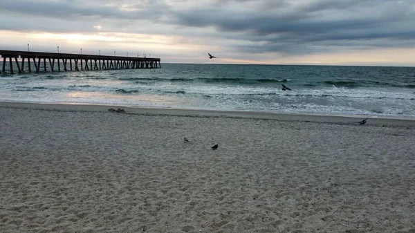 Birds Taking Wrightsville Beach — Stock Photo, Image