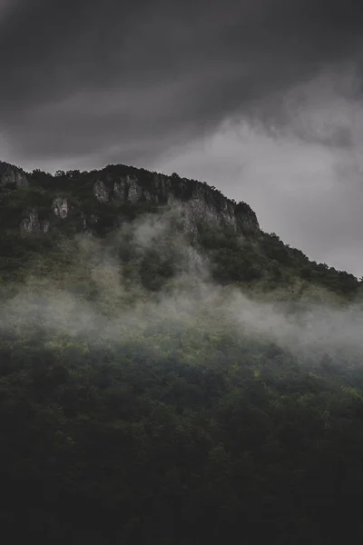 森と霧の山の風景の垂直ショット — ストック写真