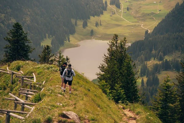 Dois Machos Caminhando Longo Aera Verde Fundo Das Montanhas Alpstein — Fotografia de Stock