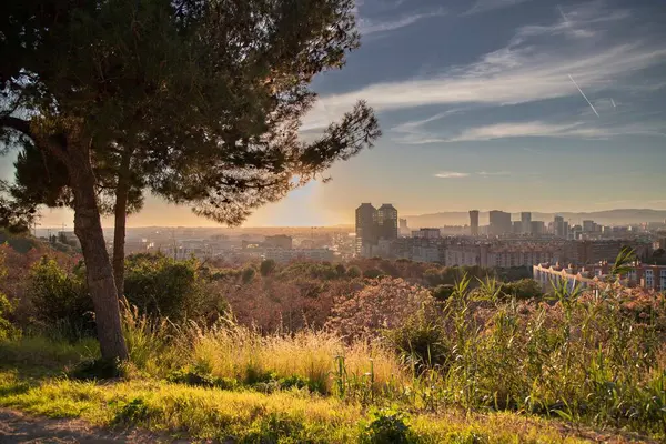 Una Hermosa Vista Ciudad Barcelona Desde Una Colina Verde Puesta — Foto de Stock