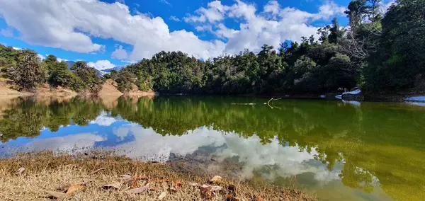 Uma Bela Paisagem Com Lago Árvores Verdes Exuberantes Costa — Fotografia de Stock