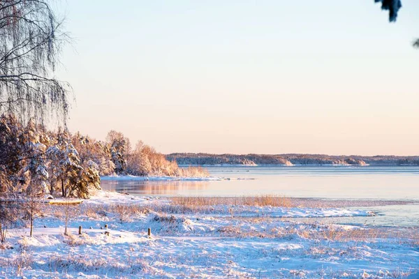 Μια Γραφική Θέα Μιας Λίμνης Χειμώνα Μια Αγροτική Περιοχή Όμορφη — Φωτογραφία Αρχείου