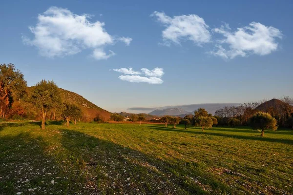 Beau Champ Agricole Avec Des Arbres Automne Contre Ciel Nuageux — Photo