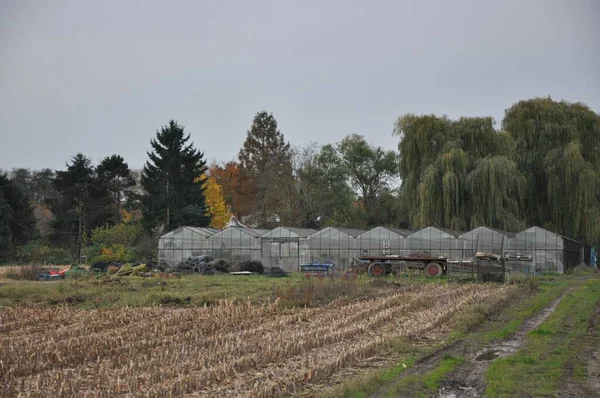 Ein Altes Glasgewächshaus Auf Einem Feld Bei Meerbusch Deutschland — Stockfoto