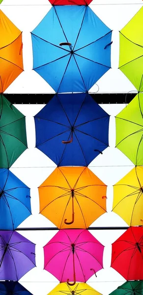 Vertikal Över Paraplyer Umbrella Festival Bialystok Polen — Stockfoto