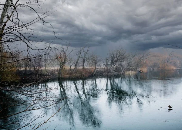 Árvores Lago Com Seus Reflexos Sob Céu Nublado — Fotografia de Stock