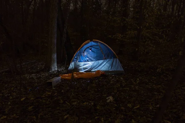 Tent Light Night Forest Surrounded Woods — Stock Photo, Image