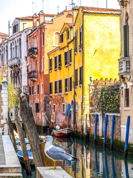 Bateau Dans Canal Venise Prêt Pour Touriste — Photo