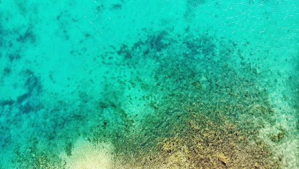 Une Surface Sous Marine Turquoise Avec Corrals Algues Arrière Plan — Photo