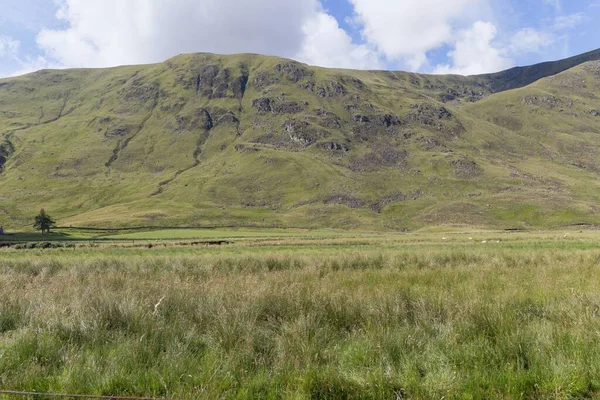 Hermoso Paisaje Natural Campo Verde Con Altas Montañas Detrás Escocia —  Fotos de Stock