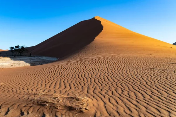 Namibya Namib Çölü Sarı Kum Tepelerinin Grafik Manzarası Yağmur Mevsimi — Stok fotoğraf